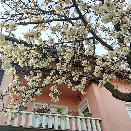Apartman Nada Krapina Esterno foto