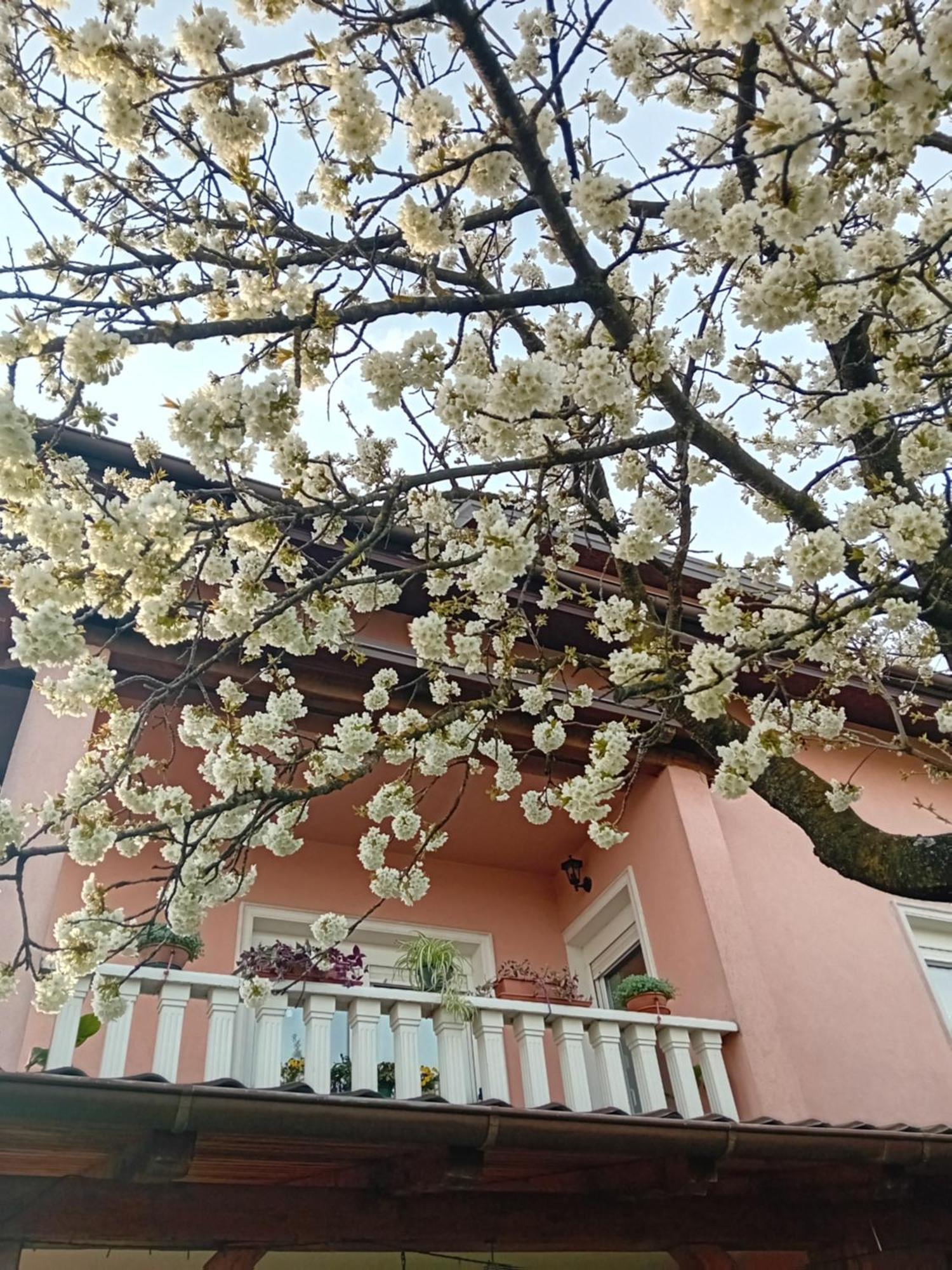 Apartman Nada Krapina Esterno foto